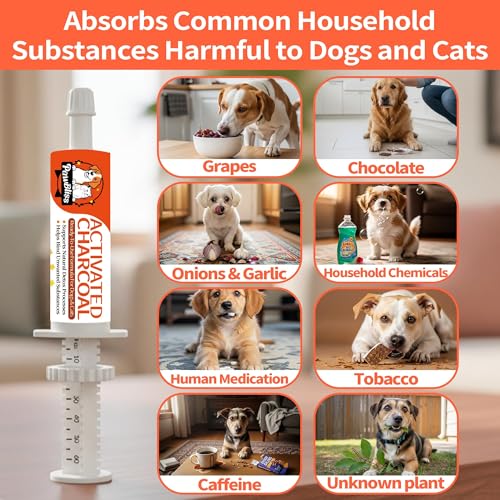 Activated Charcoal First Aid Kit -Emergency Support for Dogs, Cats & Puppies, Natural Charcoal Formula for Digestive Balance, Camping & Home Essential Oral Anti Diarrhea Digestive (60ml 1Tubes)