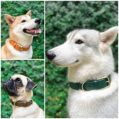 Tuff Pupper Heavy Duty Waterproof Dog Collar for Small, Medium & Large Dogs - color: Forest Green