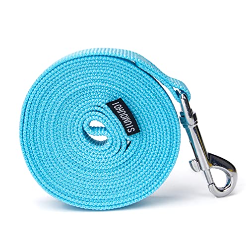 Strong Durable Nylon Dog Training Leash, 1 Inch Wide Traction Rope, 6 ft Long, for Small and Medium Dog (Mint Blue, 6 Feet) - color: Mint blue, size: 6 Feet