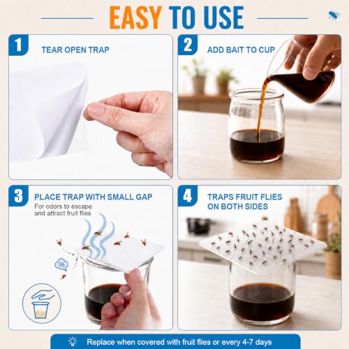 40 Pack Fruit Fly Traps for Indoors Compatible with LFSYS Gnat Traps