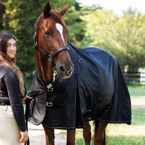 Country Pride Glacier Rainsheet, Waterproof Windproof Horse Blanket, 600D Cordura Outer Shell, Smooth Nylon Lining, Shoulder Gussets, Double Buckle Front, Adjustable Leg Straps, Tail Cover (80) - size: 80