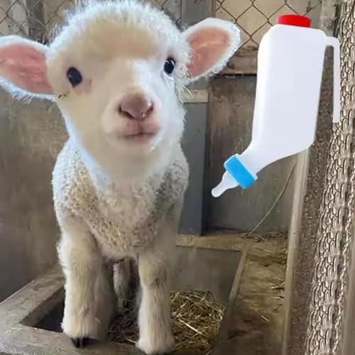 Lamb Feeding Bottle, 5 Pack Thickened Hanging Goat Bottles, 500ML Milk Feeder Bottle for Small Animal Livestock