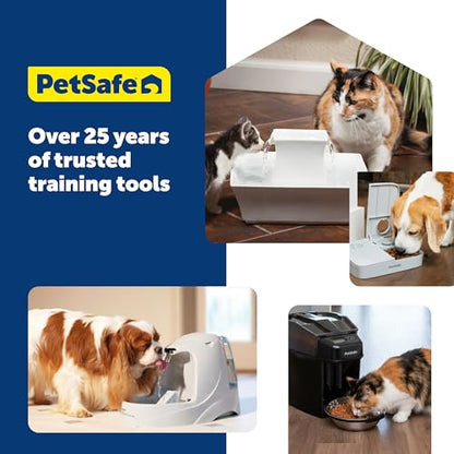 PetSafe Drinkwell Platinum Cat Water Fountain, 168 oz/5L, Grey | Free-Falling Stream Encourages Drinking, Dishwasher Safe, Large Capacity, Includes Replaceable Carbon Filter