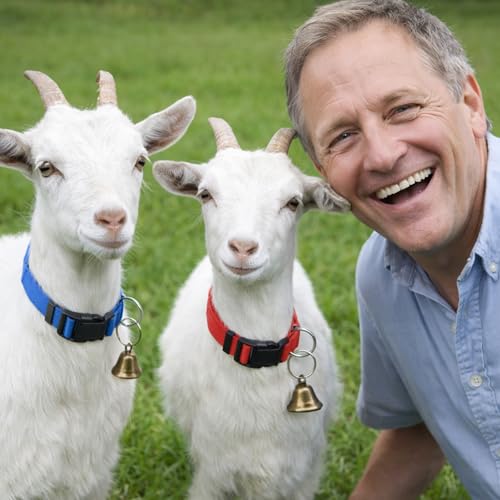 3 Set of Goat Harness in Red Green Blue Colors,Goat Collars with Bells,Adjustable Farm Collar for Grazing Management and Animal Tracking, Durable Livestock Accessories for Small Farms(18"-23")
