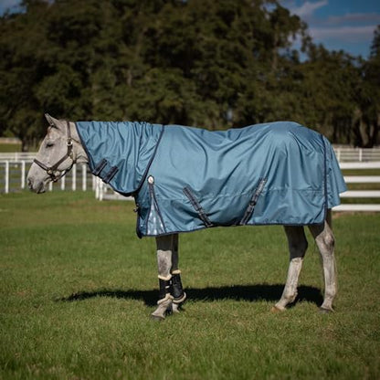 Equinavia Thunder 360 Detachable Neck Light Weight Turnout Blanket 100g - Bluestone Blue - 84 in - color: Bluestone Blue, size: 84 in