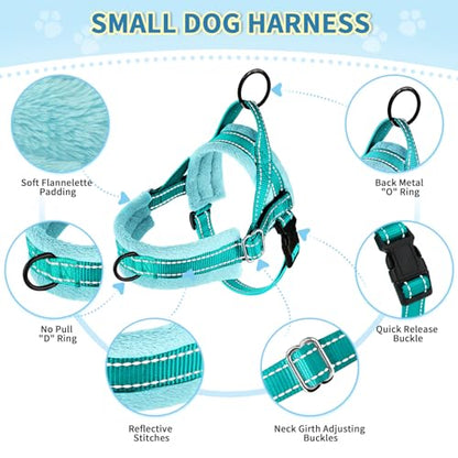 SlowTon No Pull Small Dog Harness and Leash Set with Front Clip | Soft Padded, Neck & Chest Adjustable, Lightweight, Anti-Twist, Puppy Vest Harness Pet Lead Combo for Small Medium Dog, TL XXS - color: Teal, size: XX-Small