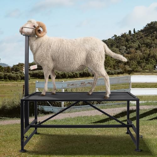 Goat Milking Stand 600Lbs Goat Stand Sheep Stand for Trimming Metal Livestock Stand with Adjustable Headpiece Goat Shearing Livestock Stand Height Adjustable, Black - color: Black