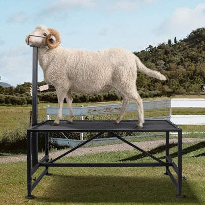 Goat Milking Stand 600Lbs Goat Stand Sheep Stand for Trimming Metal Livestock Stand with Adjustable Headpiece Goat Shearing Livestock Stand Height Adjustable, Black - color: Black