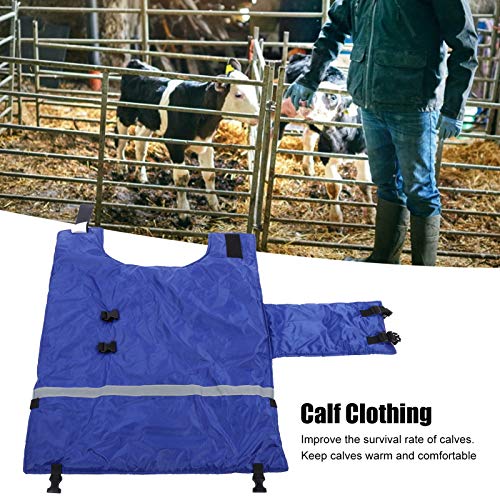 39 x 35 Inch Waterproof Calf Blanket, for Cold Winter to Keep Calves Warming, with Reflective Strip and Quick Release Buckles, Windproof Oxford Cloth for Calf Goat Horse Coat Jacket