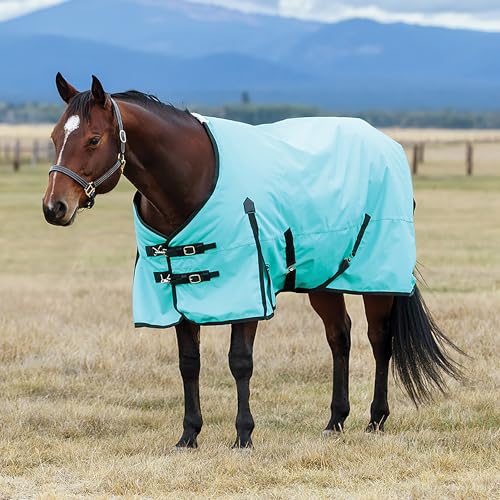 WeatherBeeta ComFiTec Original Standard Neck Lite, Turquoise/Black, 69" - color: Turquoise/Black, size: 69"