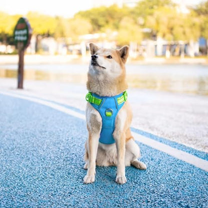 PHOEPET No Pull Dog Harness, Unique Colors Reflective Adjustable Dog Vest - color: Blue Base & Green Straps, size: Small