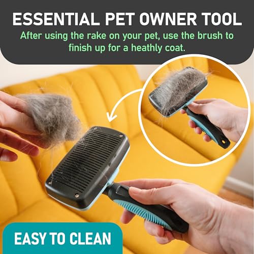 Maxpower Planet Dog Rake and Brush Set for Shedding, Undercoat & Mats - color: A - Rake & Brush (Best Value), size: Large