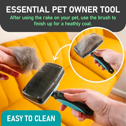 Maxpower Planet Dog Rake and Brush Set for Shedding, Undercoat & Mats - color: A - Rake & Brush (Best Value), size: Large