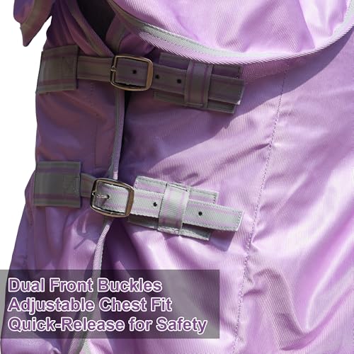LEAFOREST Horse Fly Sheet with Neck Cover & Belly Band Mesh UV Protection - size: 72 IN