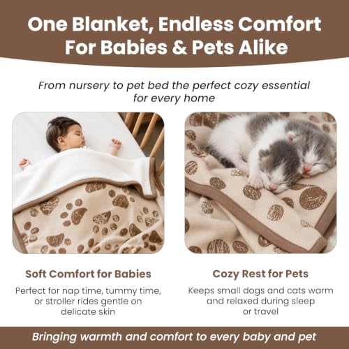 Organic Cotton Pet Blanket 30x38 in, Sherpa, Earth Ivory/Mocha - color: Earth Ivory / Mocha Meringue