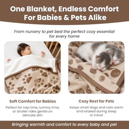 Organic Cotton Pet Blanket 30x38 in, Sherpa, Earth Ivory/Mocha - color: Earth Ivory / Mocha Meringue