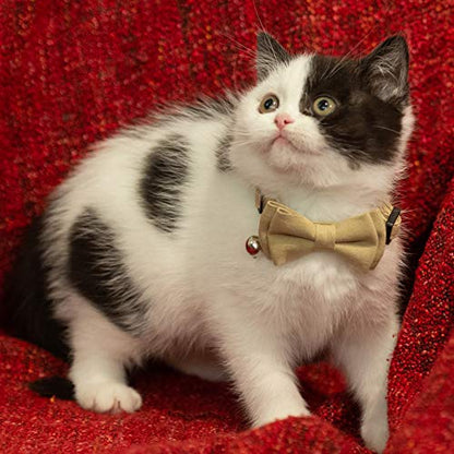 Collar for Cat Pet Breakaway with Bell Bowtie Detachable Bow Adjustable Safety Kitten Puppy Girl Boy 2pcs Beige Leopard & Pure - color: Leopard & Pure-Beige