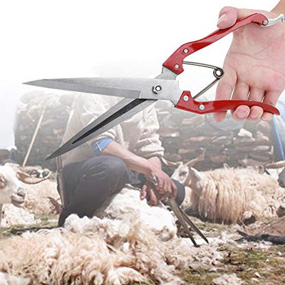 Generic Manual Stainless Steel Sheep Shears, with Spring Loaded Detachable Blade, for Livestock Trimming Shearing Sheep Rabbits Horses Pets