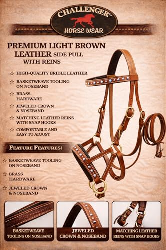 CHALLENGER Horse Western Harness Leather Turquoise Stone Bitless Sidepull Bridle w/Reins 77RS31