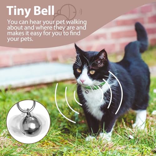 Collar with Bell, PU Leather Male Cat Collar with Bells Light Blue, XXS - color: Sky Blue, size: XXS (5-8 inches)