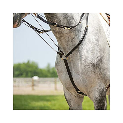 Billy Royal German Martingale | Effortless Headset Training | Durable Mountain Climbing Rope | Includes 7' x 3/4" Wide Split Reins | Brass and Stainless Hardware | Dark Oil Leather Finish