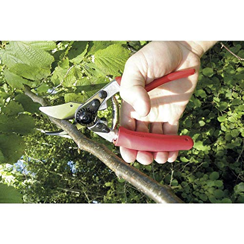 Felco F-12 Pruning Shears – 7.9" Garden Clippers with Anvil & Bypass Blades | Hand Pruners for Gardening | Garden Tool Cutter with Forged Aluminum Handle, Alloy Steel Blade, Medium Hand Fit - size: F12 Medium Rotating Handle