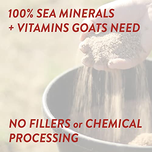 Redmond Goat Mineral Supplement - A Premium sea Salt with Essential Trace Minerals and Vitamins (5 LB) - size: 5 Pound (Pack of 1)