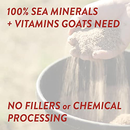 Redmond Goat Mineral Supplement - A Premium sea Salt with Essential Trace Minerals and Vitamins (5 LB) - size: 5 Pound (Pack of 1)