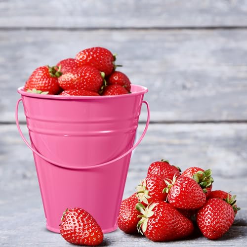 Sadnyy 12 Pack 4.5 X 5 inch Pink Metal Buckets - color: Pink, size: 4.5 x 5 in