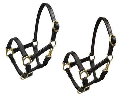 Small Pony/Weanling Leather Halter w/Brass Hardware - color: Brown