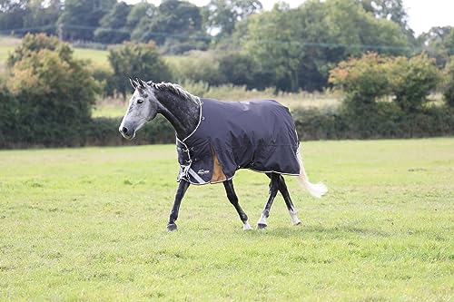 Highlander Plus 300g Horse Turnout Blanket - size: 66"