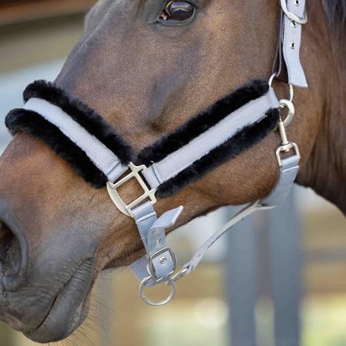Equinavia Valkyrie Ultra Fleece Soft Padded Horse Halter Breakaway - color: Slate Grey/Black, size: Cob