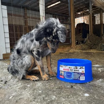 Farm Innovators Premium Plastic Heated Pet Water Bowl, 60 Watts, Blue
