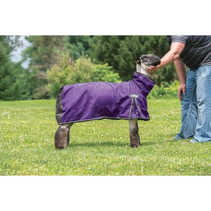 Weaver Leather Livestock ProCool Mesh Sheep Blanket with Reflective Piping, Purple, Extra Large