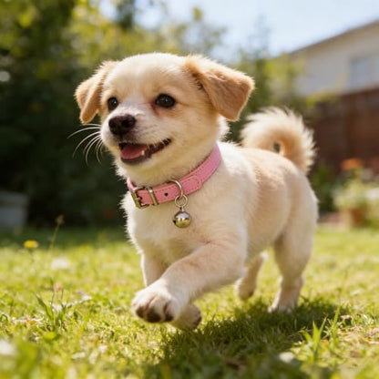 Brown XXS Dog Collar with Bell Puppy Cat Small Dog Bell Collars with Bells - color: Brown, size: XXS(Neck 5-8")