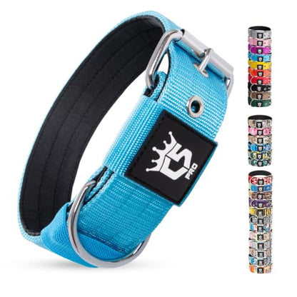 TSPRO Heavy Duty Thick Dog Collar with Metal Buckle for Small Dogs - color: Basic Blue, size: S – Fits Neck 12.6"-15.8"