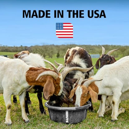 Rubbermaid Commercial Products BRUTE 6-Gallon Feed Storage Container with Rodent-Proof EDGELOCK Lid, RigidCell Construction, Stackable & Nestable, Made in USA - size: 6 Gal, style: Feed Storage Bin