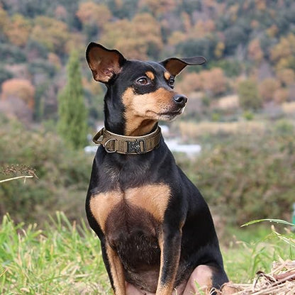 EXCELLENT ELITE SPANKER Tactical Nylon Dog Collar Military Metal Buckle - color: Grey, size: M-(14''-18")