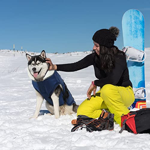 EMUST Dog Winter Coat, Waterproof Fleece Dog Jacket Winter for Large Dogs - color: Blue, size: Large