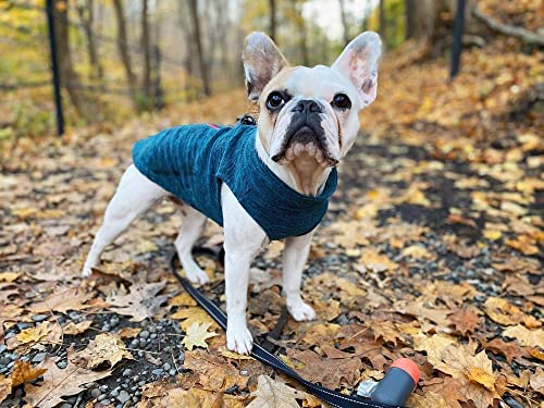 Gooby Zip-Up Fleece Dog Sweater, Turquoise Wash, X-Small - color: Turquoise Wash, size: X-Small chest (~11")
