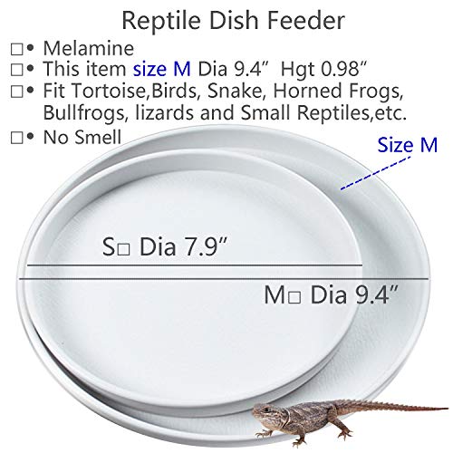 Reptile Water Food Dish Bowl Turtle Feeder Tortoise Feeding Dish Container (M, White) - color: White, size: M
