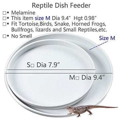 Reptile Water Food Dish Bowl Turtle Feeder Tortoise Feeding Dish Container (M, White) - color: White, size: M