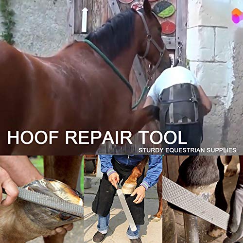 14 Inch Professional Hoof Trimming Kit, 8 Piece Farrier Tools Set with Hoof Nippers, Rasp, Shear Cutter, Hoof Knife, Sharpener, Pick, Gloves, Storage Bag, for Horse Goat Pig Hoof Care - size: 14.5 Inch