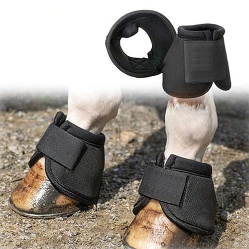 Horse Care Boots - size: Large