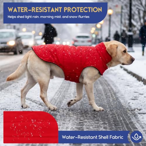 ASENKU Reversible Dog Winter Coat, Dog Jacket for Small Medium Large Dogs - color: Red, size: X-Small