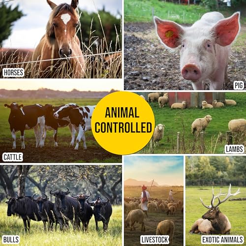 40X Conductivity Than Steel Tinned Copper Electric Fence Wire, 1/4inX1000FT | Thick & Highly Conductive Tinned Copper Strands, Ideal for Temporary Pastures and Equine Containment Livestock