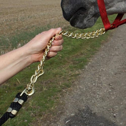 Schneiders Nylon Lead Rope with Brass Plated Chain | Durable & Rot-Resistant | 30 Brass-Plated Chain for Added Control - color: Navy
