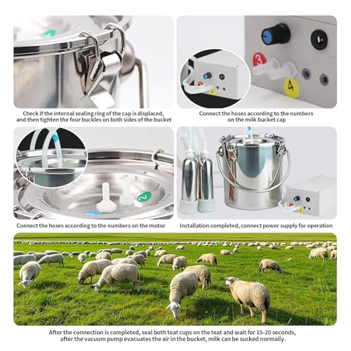 Plug-in 3L Pulsating Vacuum Pump Goat Milking Machine