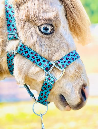 Star Point Horsemanship Rainbow Cheetah Halter - size: Small Yearling Mini