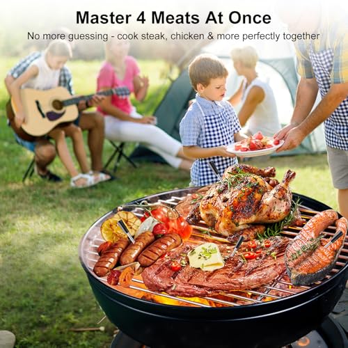 Newise Wireless Meat Thermometer with Smart APP - 4 Probes - style: 4 Probes